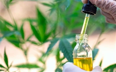 9 avantages pour la santé de l’huile de CBD – et effets secondaires