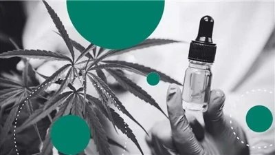 Chanvre ou CBD : quelle est la différence ?